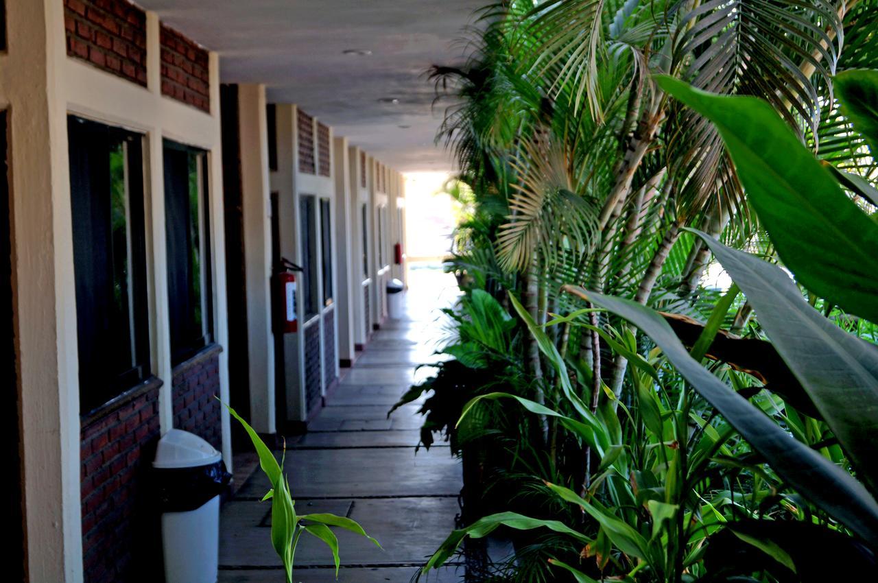 Hotel La Palapa Mazatlán Eksteriør billede